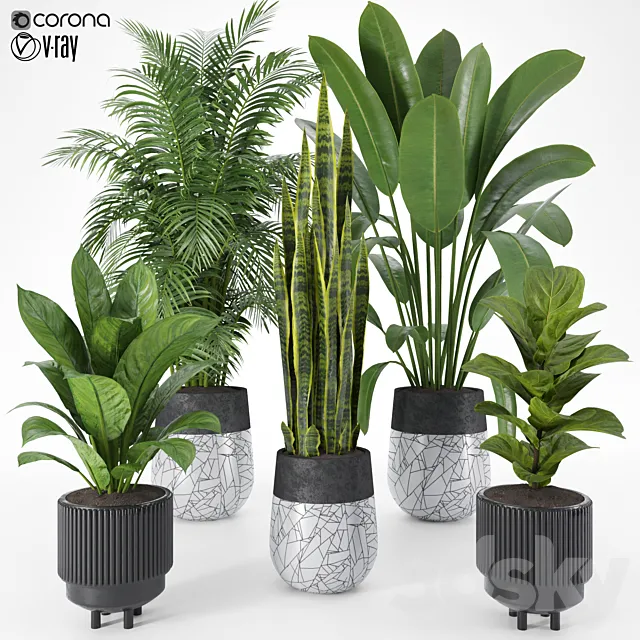 Plant Set 10 3ds Max