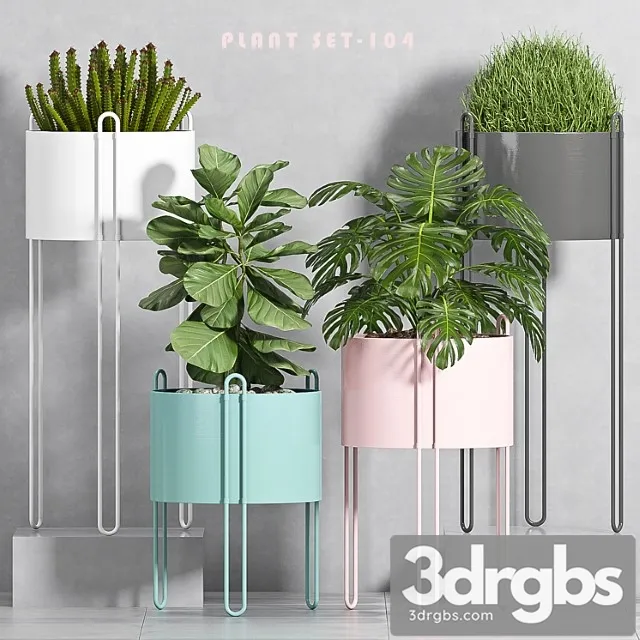 Plant set -104