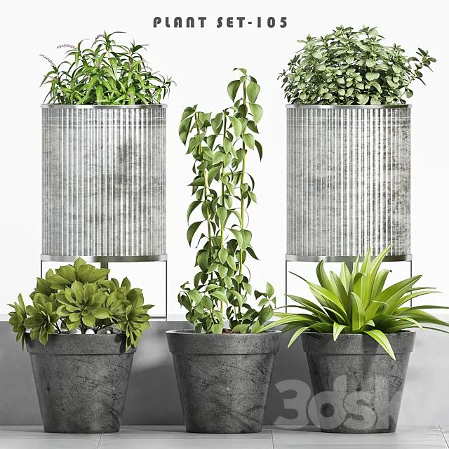 plant set-105 3DSMax File
