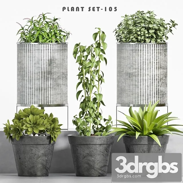 Plant set-105