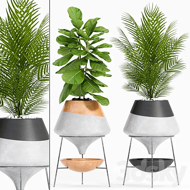 plant set-108 3ds Max