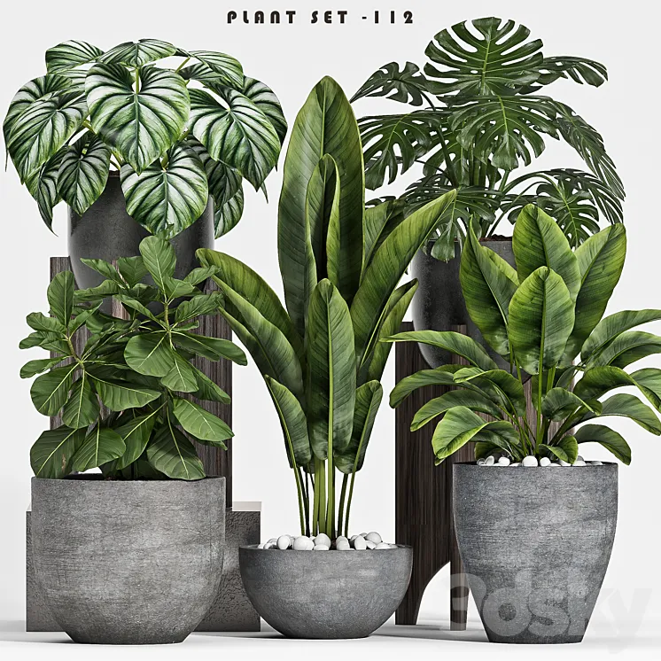 plant set-112 3DS Max