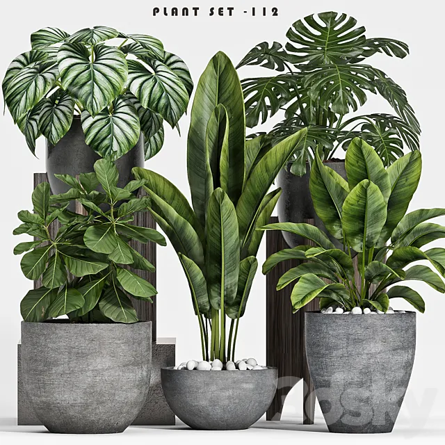plant set-112 3DSMax File