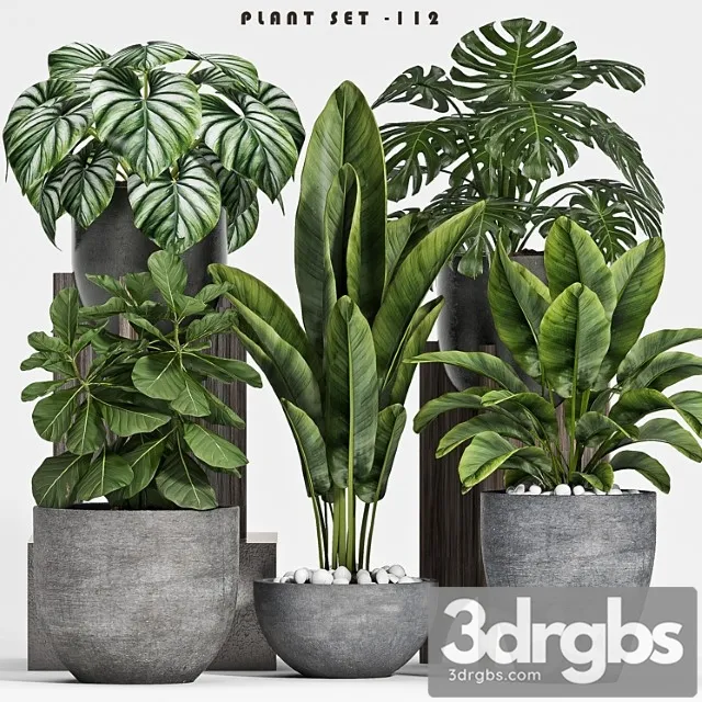 Plant set-112