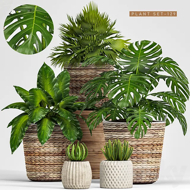 plant set 128 3ds Max