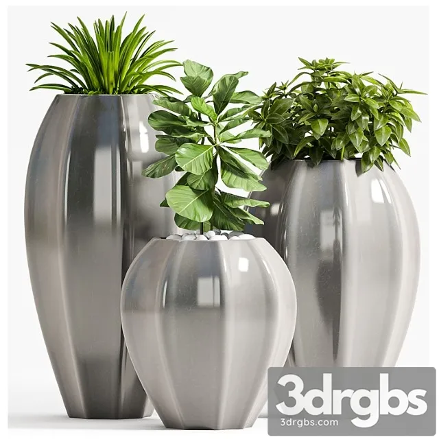 Plant set – 70