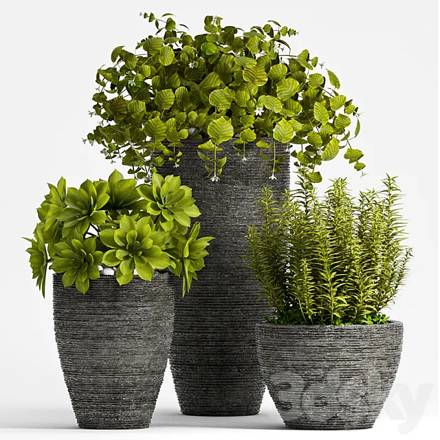 PLANT SET – 75 3DS Max Model