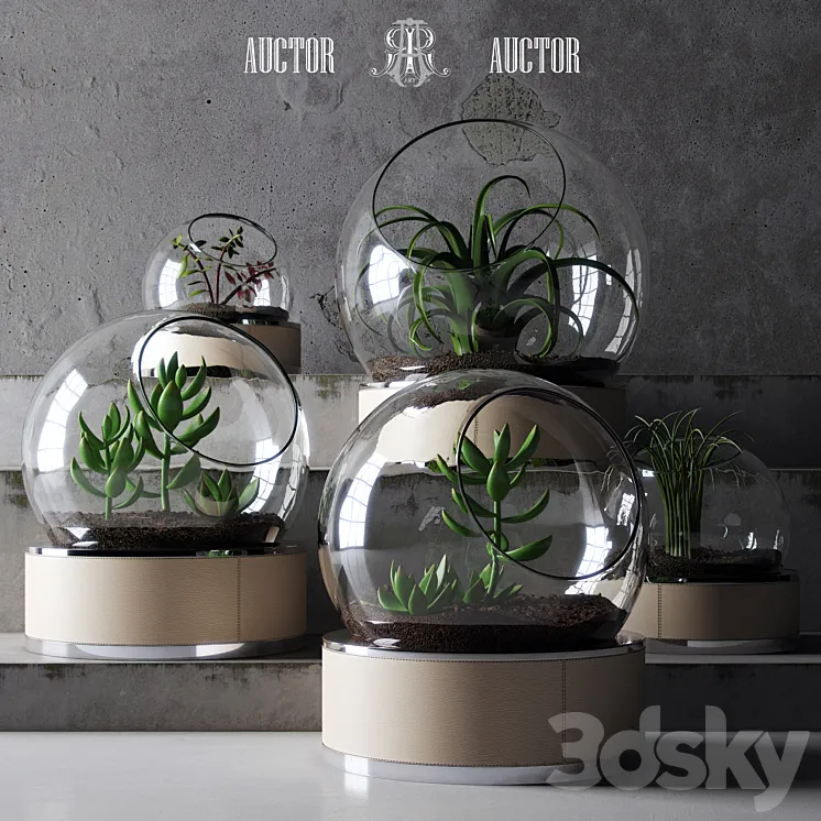 plant set ART Auctor 3DS Max