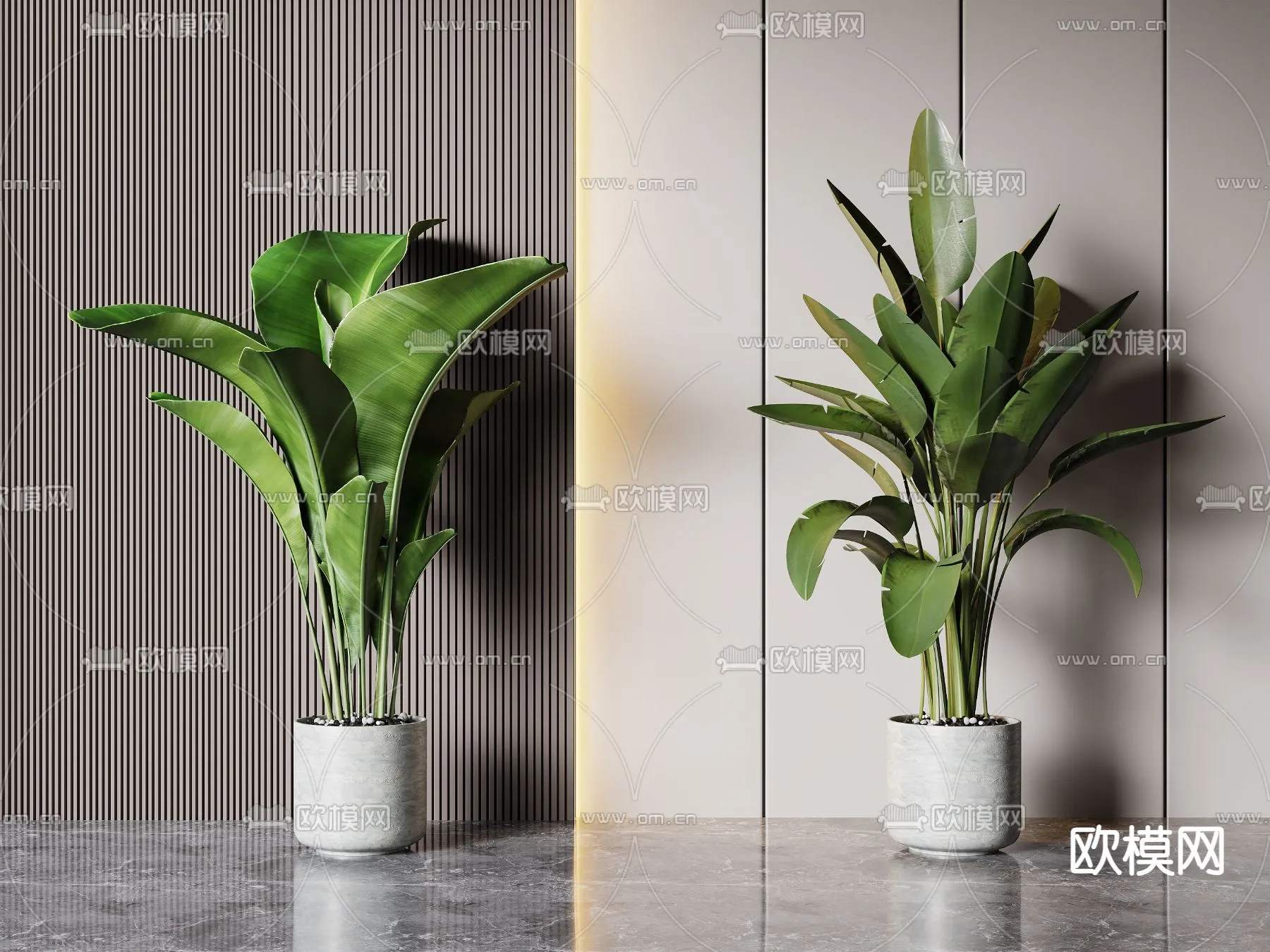 Plant – VRAY / CORONA – 3D MODEL – 445