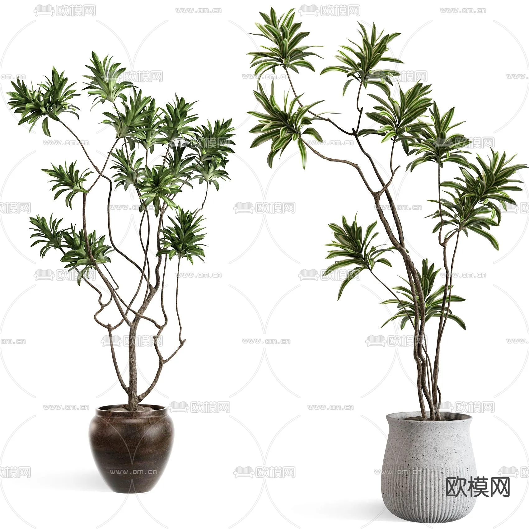 Plant – VRAY / CORONA – 3D MODEL – 447