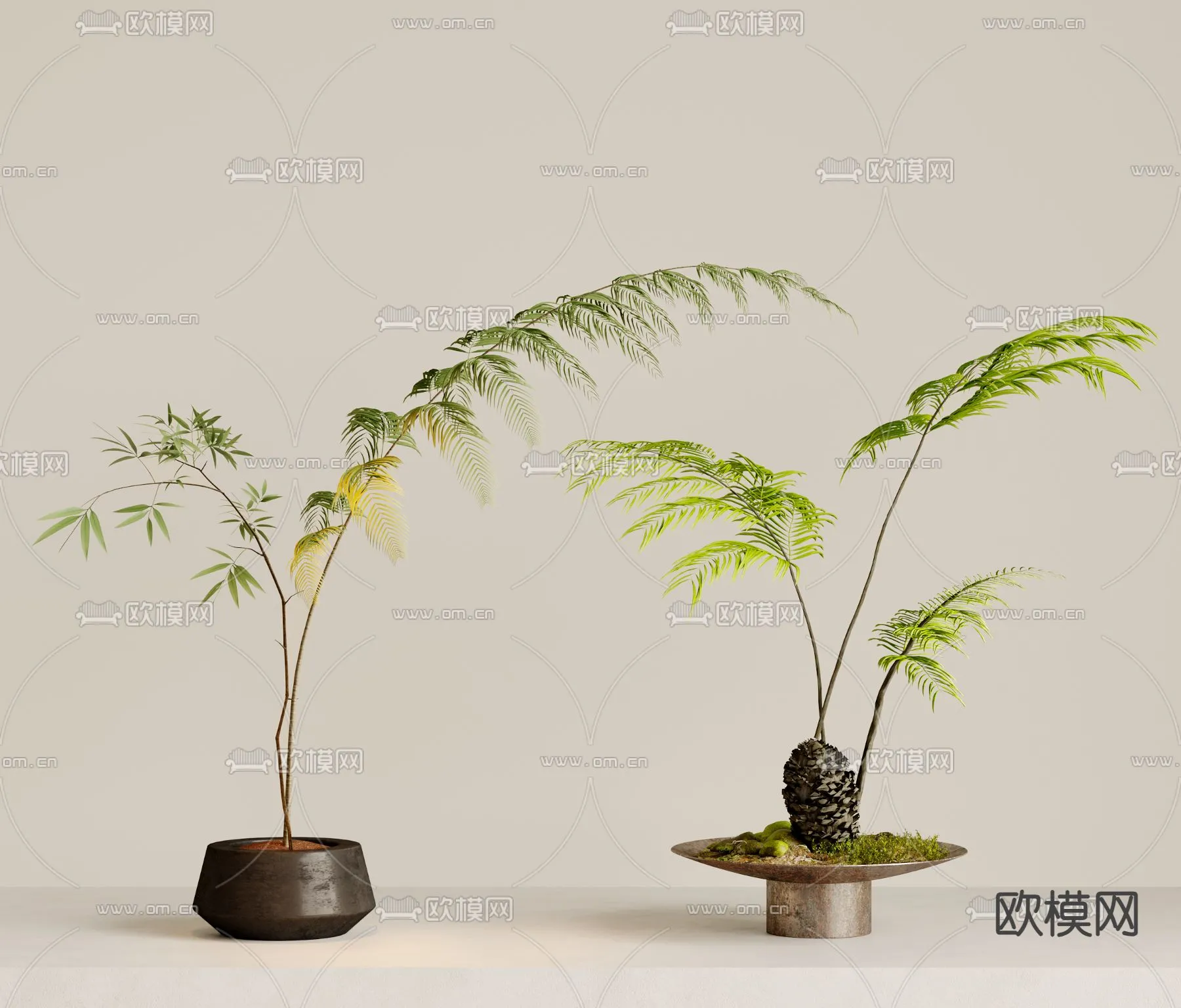 Plant – VRAY / CORONA – 3D MODEL – 448