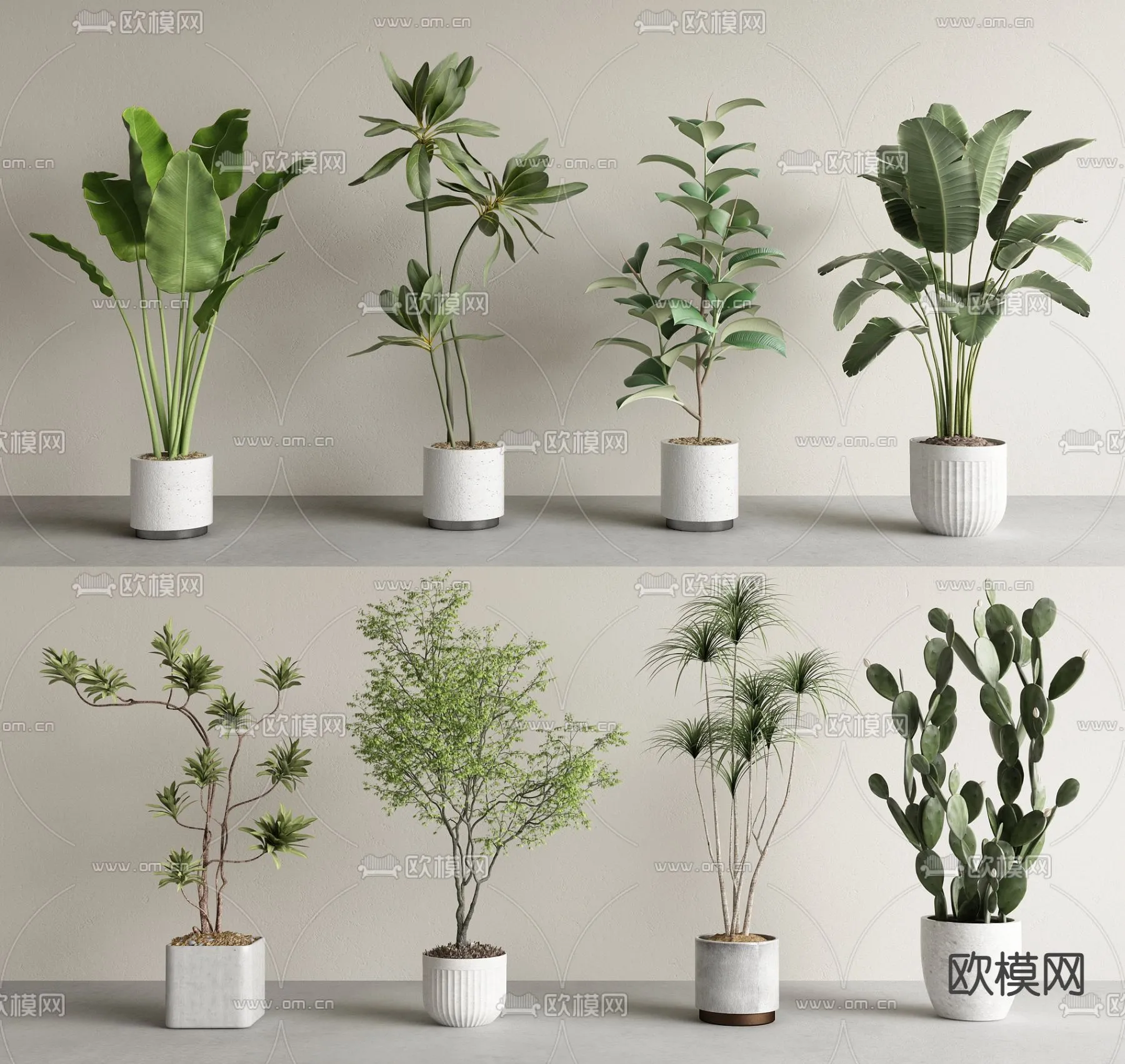 Plant – VRAY / CORONA – 3D MODEL – 449