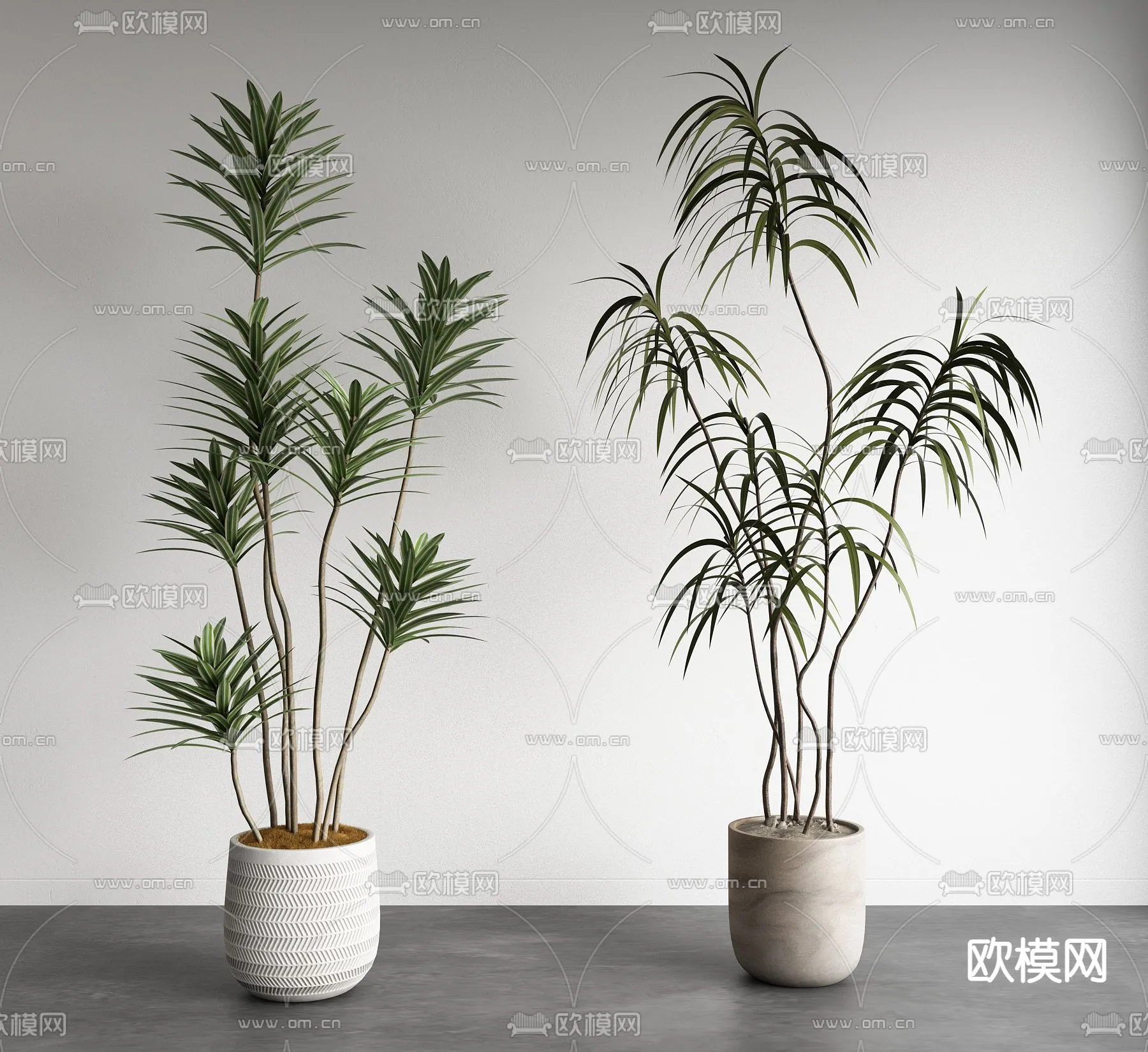 Plant – VRAY / CORONA – 3D MODEL – 452
