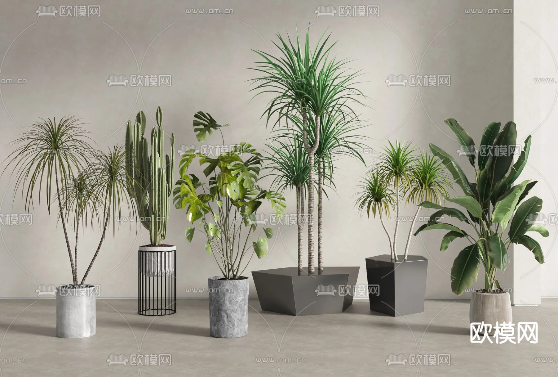Plant – VRAY / CORONA – 3D MODEL – 458