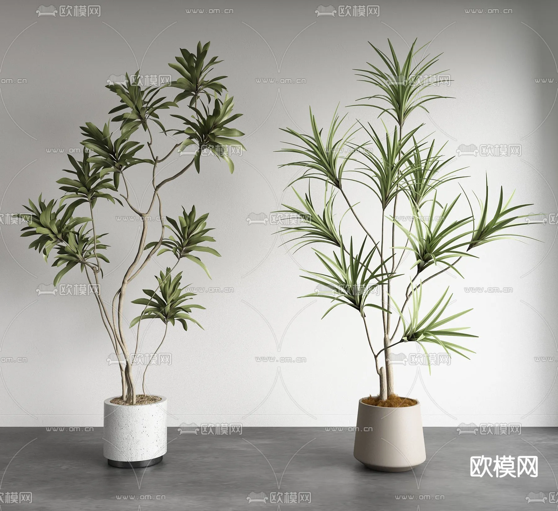 Plant – VRAY / CORONA – 3D MODEL – 469