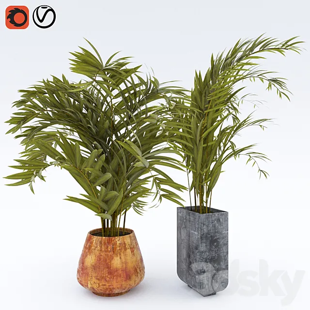 Plant_1 3ds Max