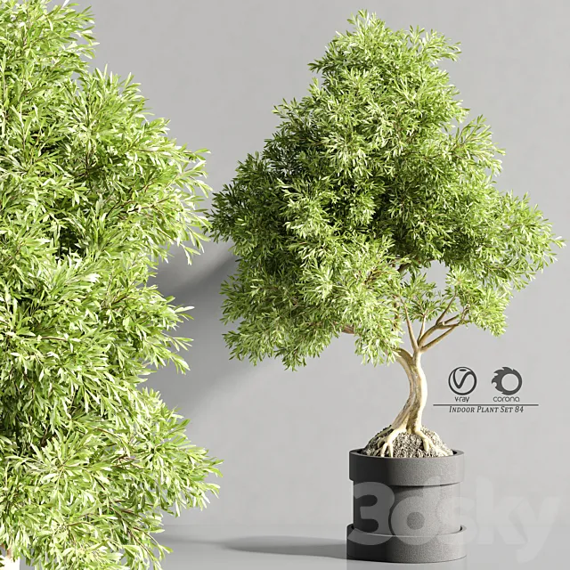 plant_bonsai_07 3DS Max Model