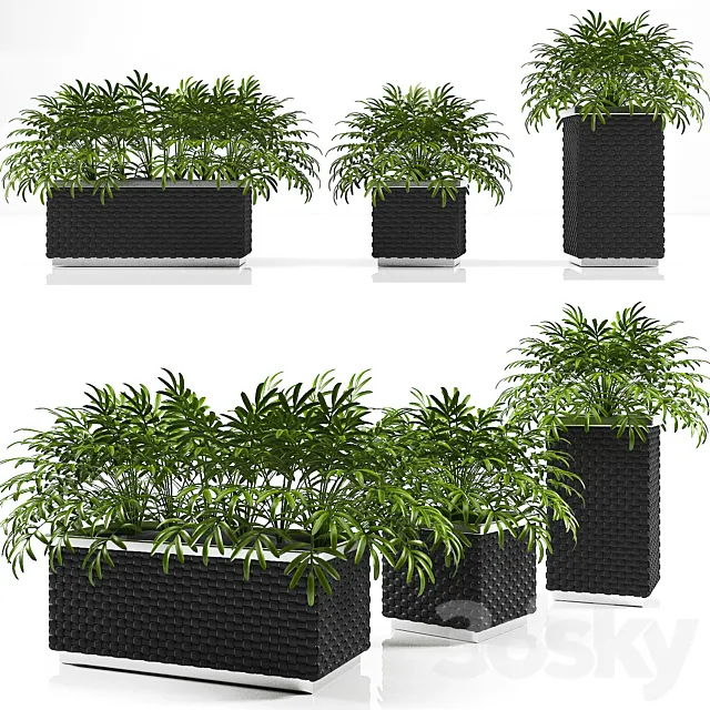 PLANTER BOX 3ds Max