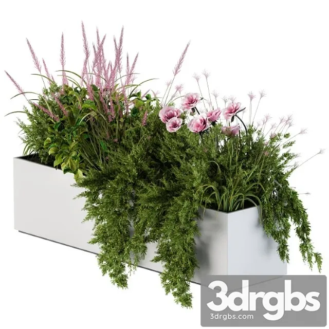 Planter Box For Windows Pink Flower 3dsmax Download