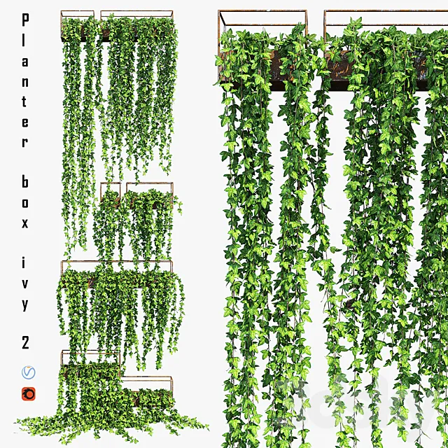 Planter box ivy 2 3ds Max