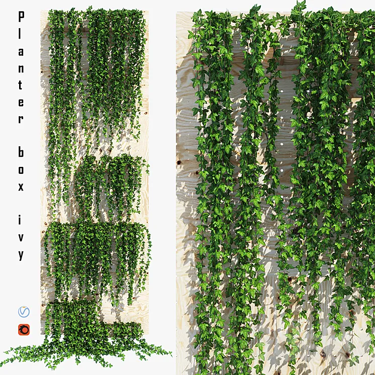 Planter box ivy 3DS Max