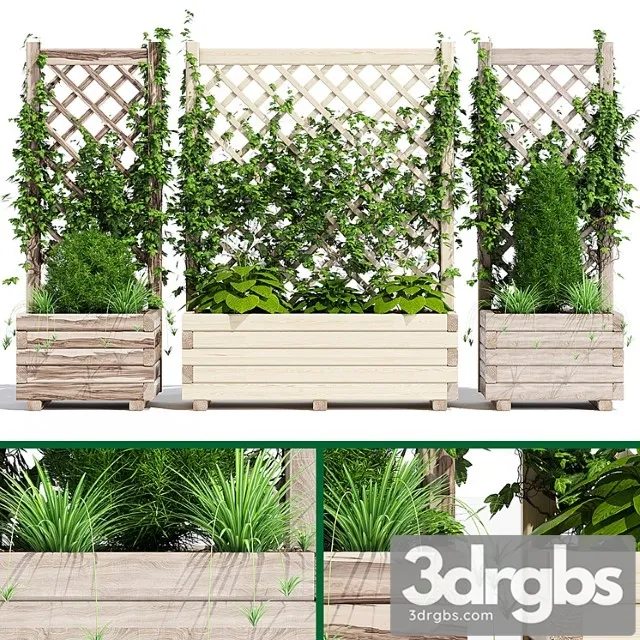 Planter with lattice