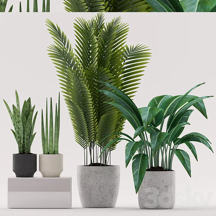 Plants 101 3DS Max