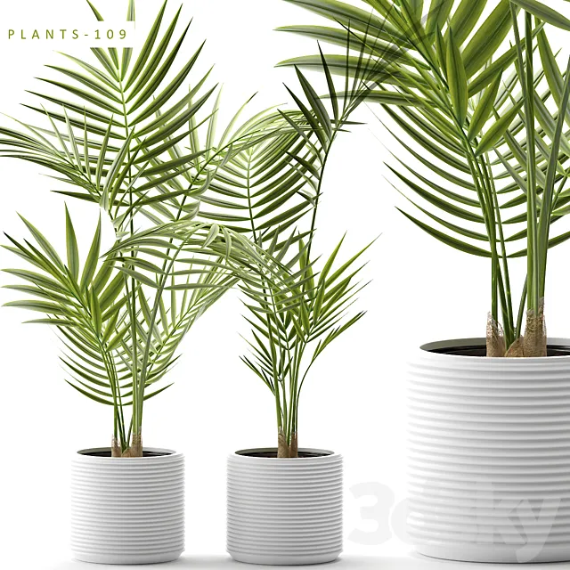 Plants 109 3DSMax File