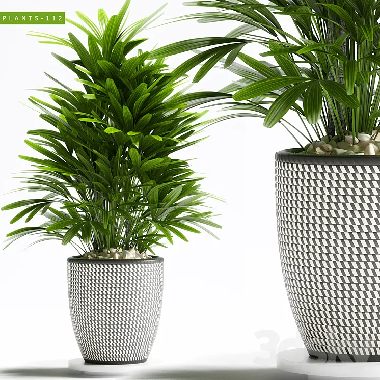 PLANTS 112 3DS Max