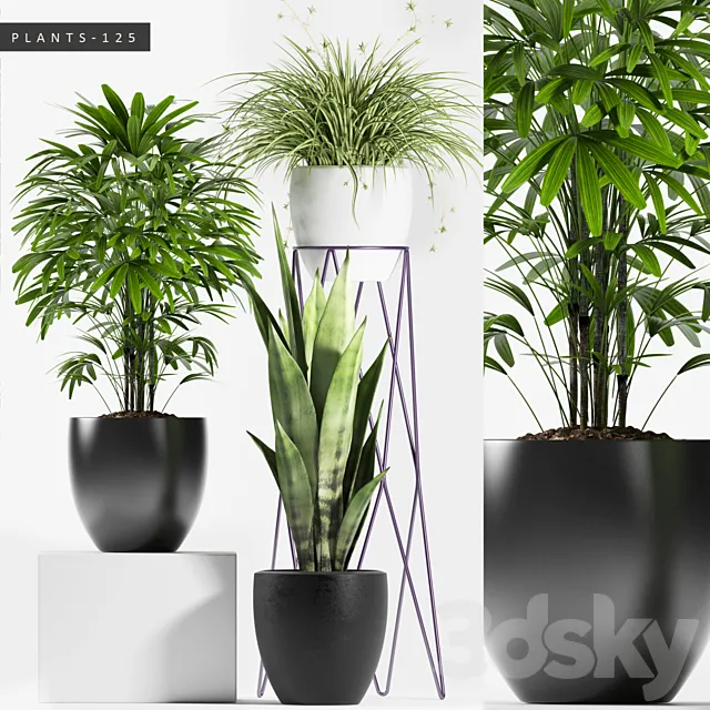 PLANTS 125 3DS Max Model