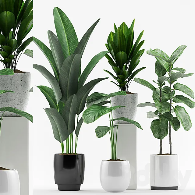 Plants 127 3ds Max