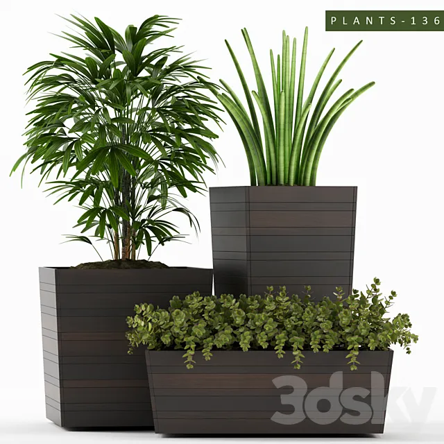 PLANTS 136 3ds Max