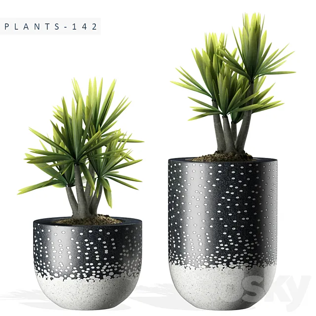 PLANTS 142 3DS Max Model