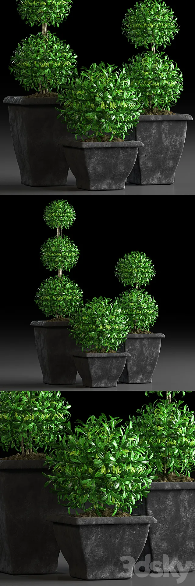 PLANTS 15 3ds Max