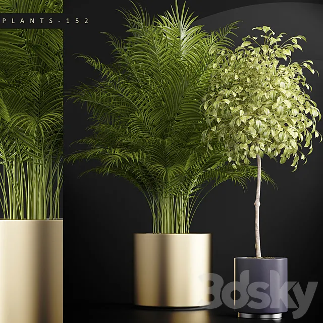 PLANTS 152 3DSMax File