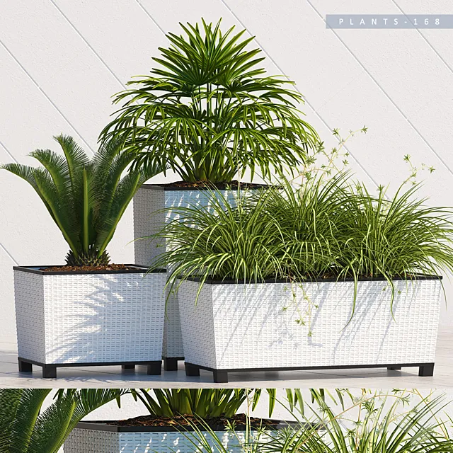 PLANTS 168 3ds Max