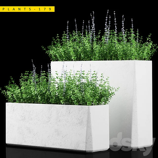 PLANTS 179 3DS Max Model