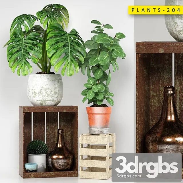 Plants 204