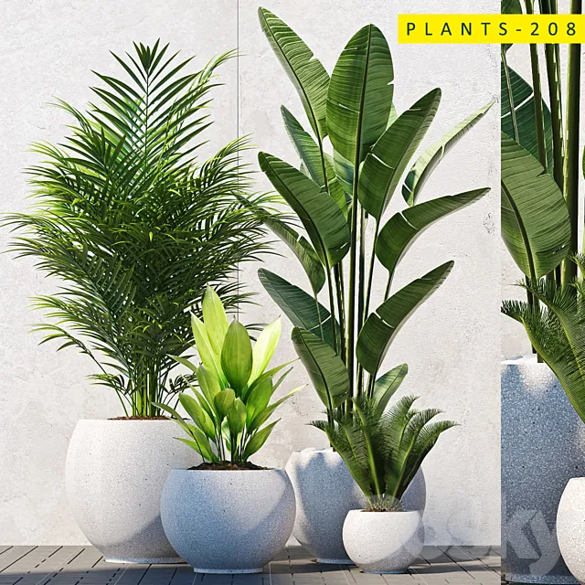 plants 208 3DS Max Model