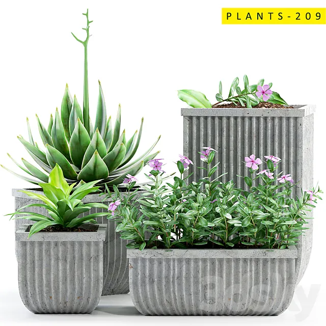 PLANTS 209 3ds Max