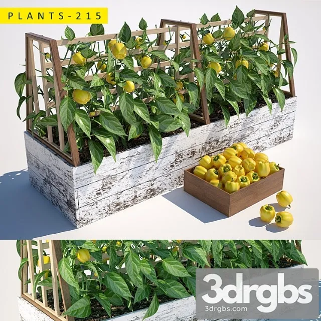 Plants 215