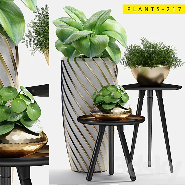 plants 217 3ds Max