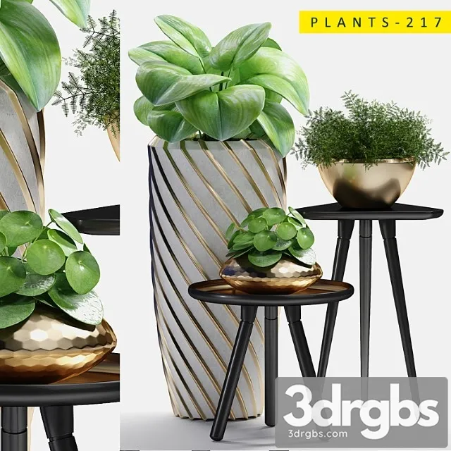 Plants 217