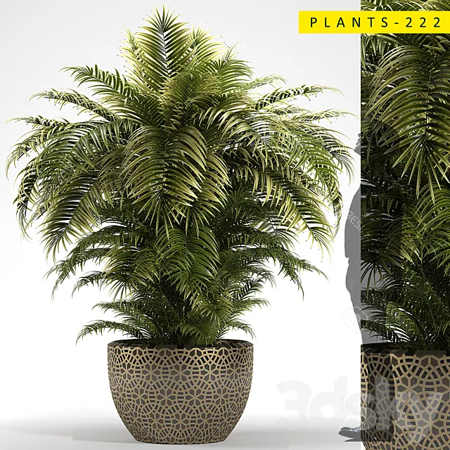 PLANTS 222 3DS Max Model