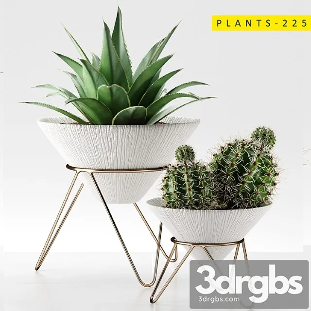 Plants 225