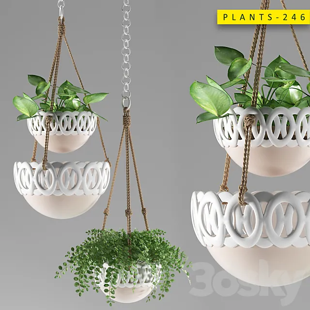 Plants 246 3ds Max