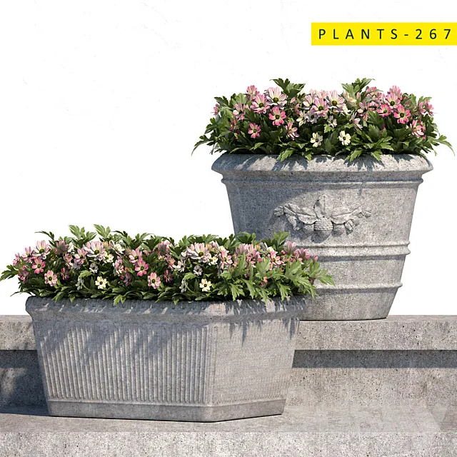 plants 267 3ds Max