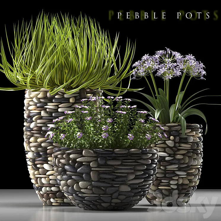 PLANTS 57 3DS Max