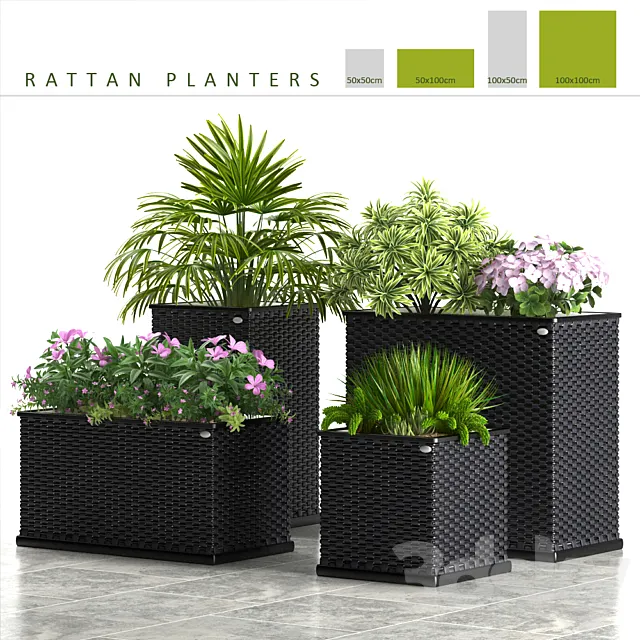 PLANTS 58_RATTAN PLANTERS 3DS Max Model