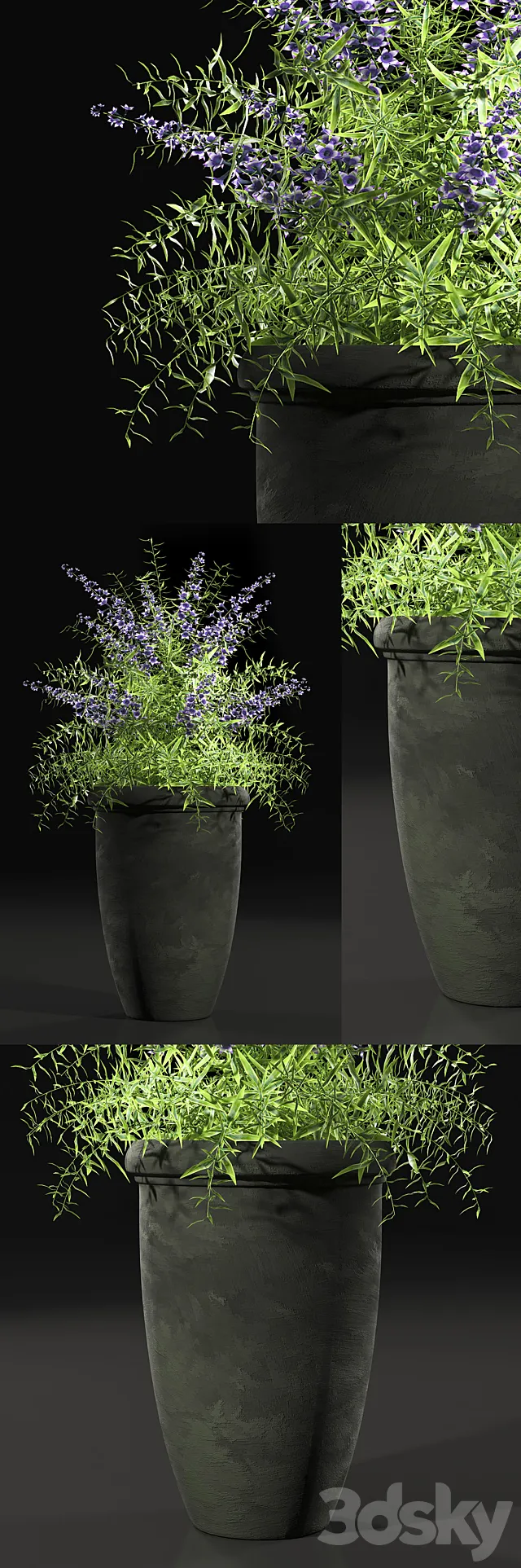 PLANTS 7 3DS Max Model